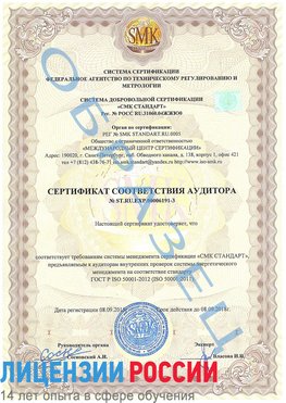 Образец сертификата соответствия аудитора №ST.RU.EXP.00006191-3 Горнозаводск Сертификат ISO 50001